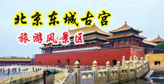 骚b女护士中国北京-东城古宫旅游风景区